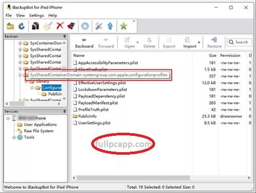 iBackupBot 8.3.5 Download Free 2025